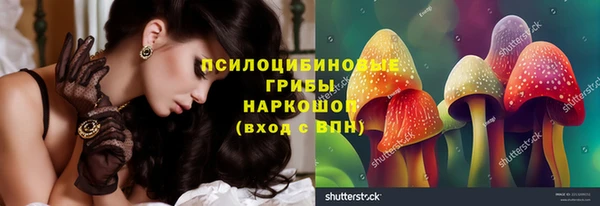 винт Алзамай