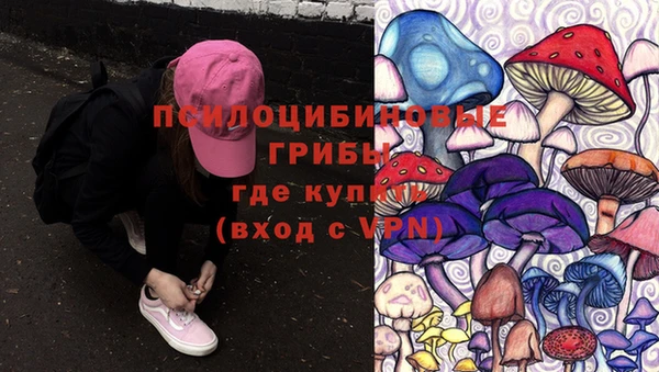 винт Алзамай