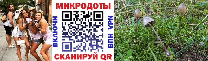 Псилоцибиновые грибы Psilocybe  нарко площадка официальный сайт  Димитровград 